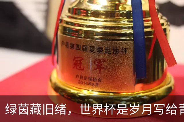 绿茵藏旧绪，世界杯是岁月写给青春的信